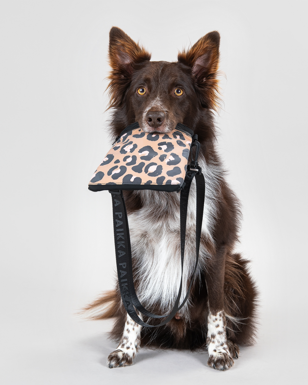 Visibility Treat Pouch leo