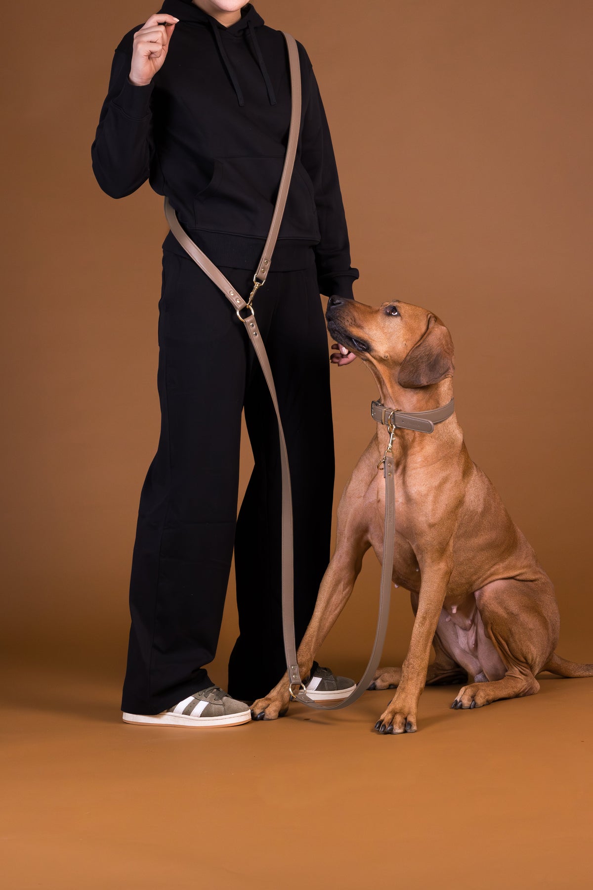 Lignify Multi-Leash taupe