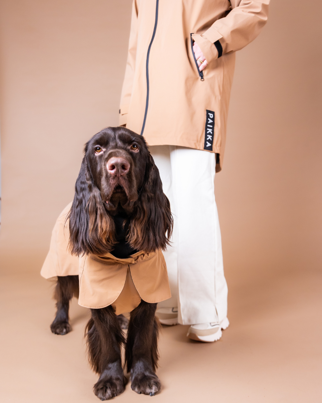 Taupe Collection
