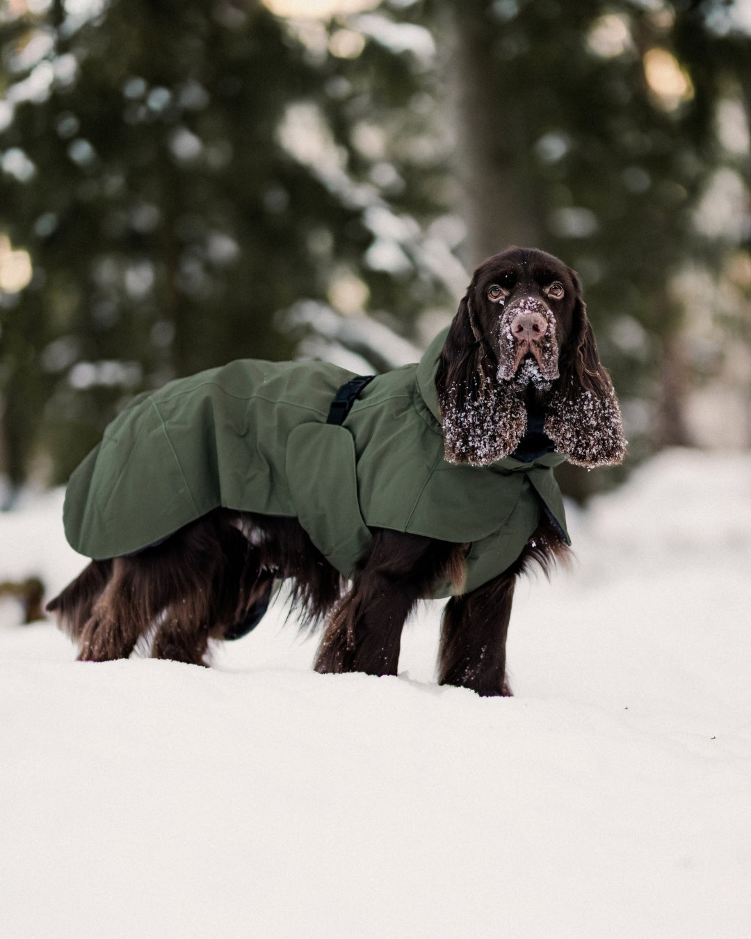 Winter Coats & Suits
