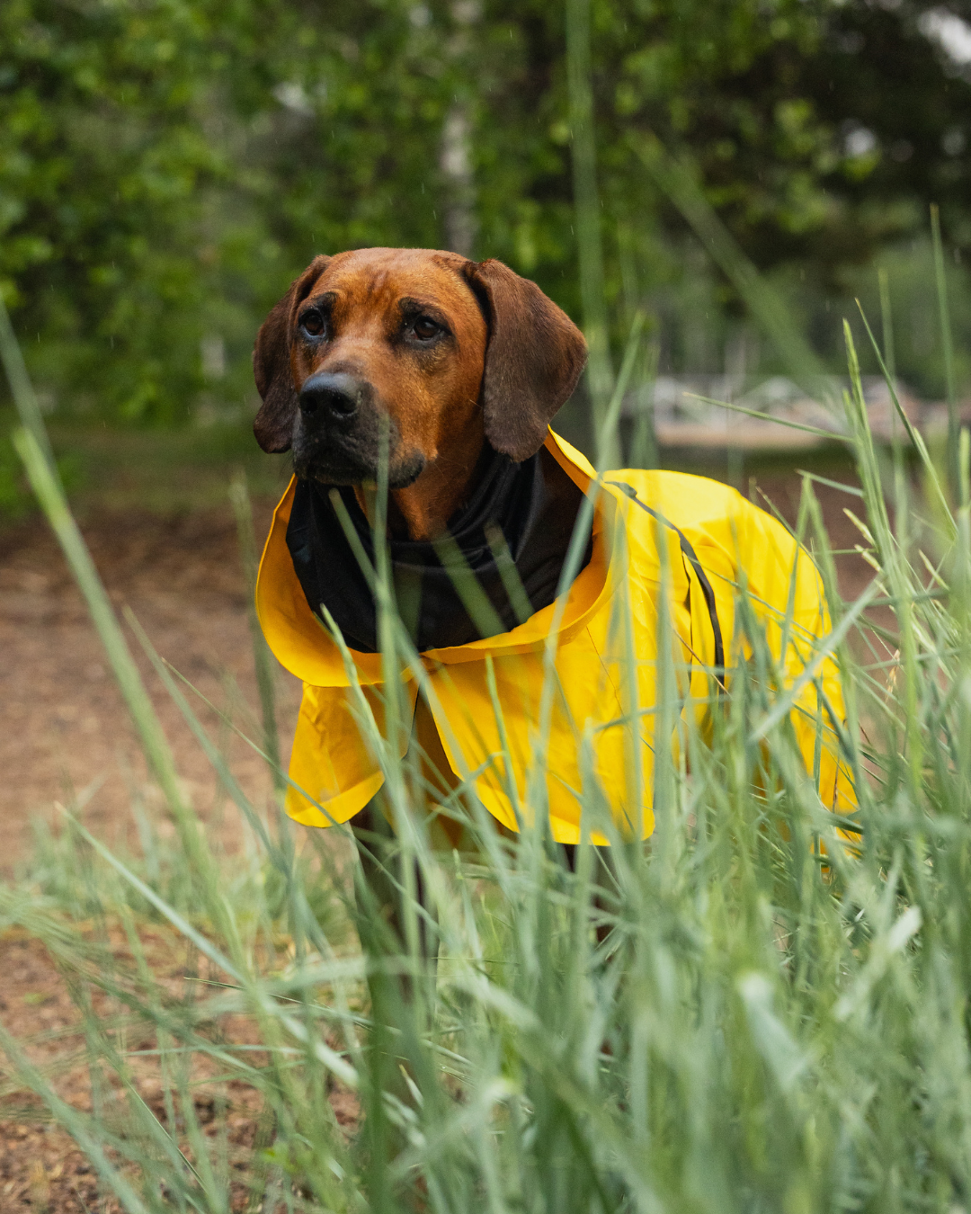 RAINWEAR