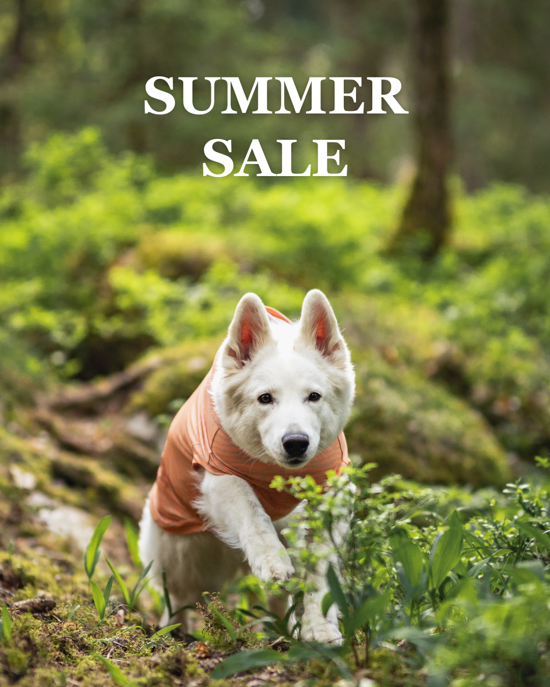 SUMMER SALE