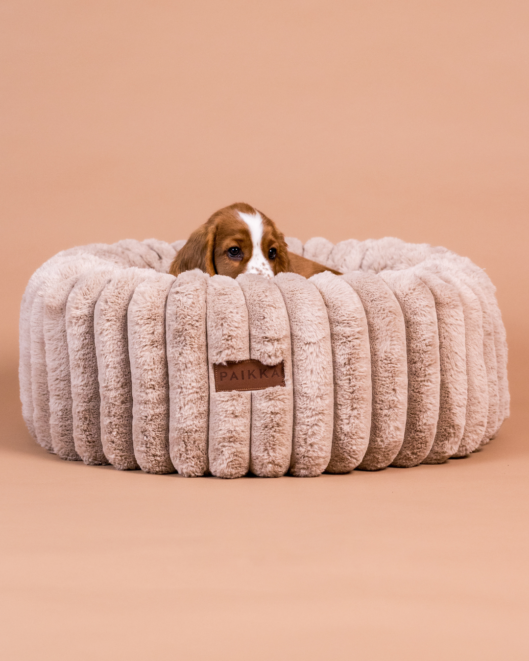 Beds for Dogs