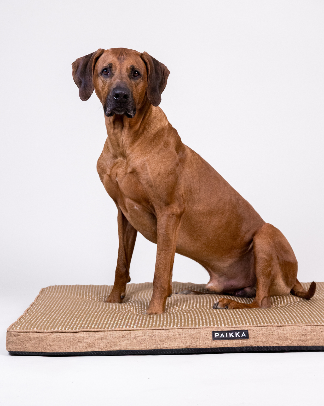 PAIKKA Cooling Orthopedic Mattress Taupe