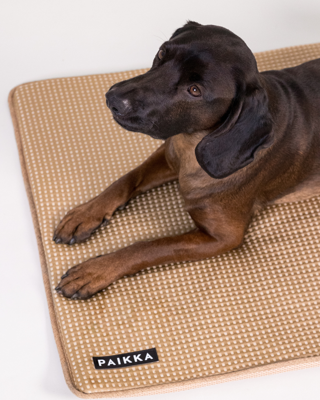 PAIKKA Cooling Blanket Taupe