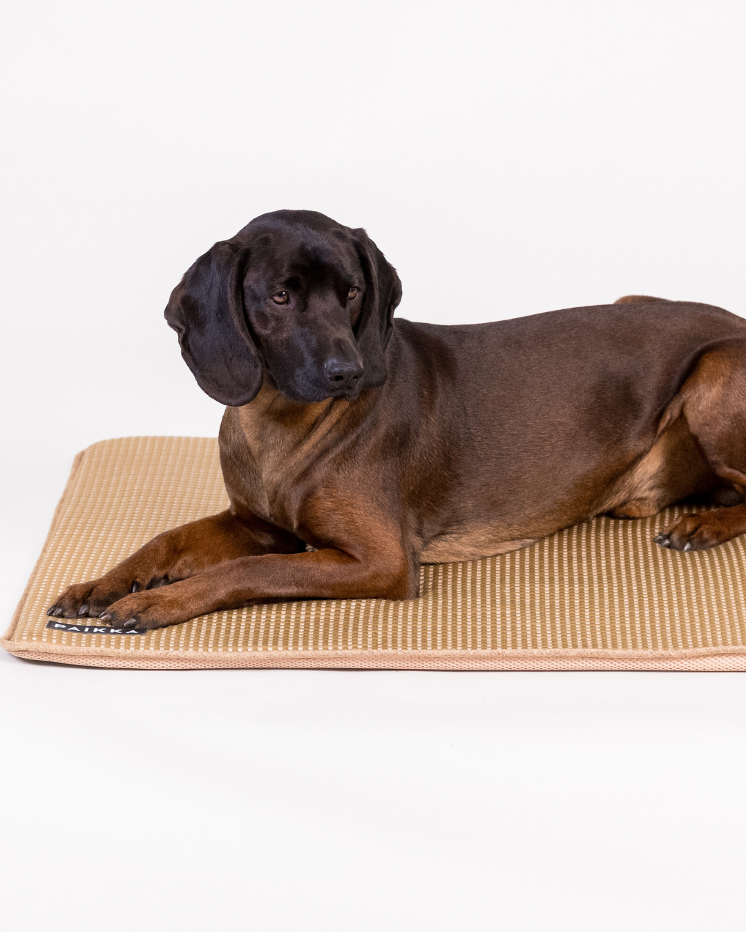 PAIKKA Cooling Blanket Taupe