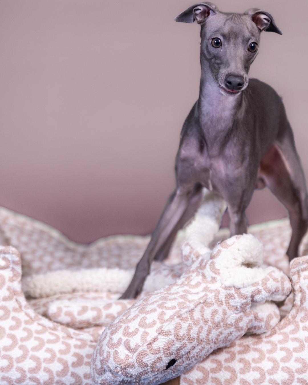 PAIKKA Hundebett Treasure Rosa