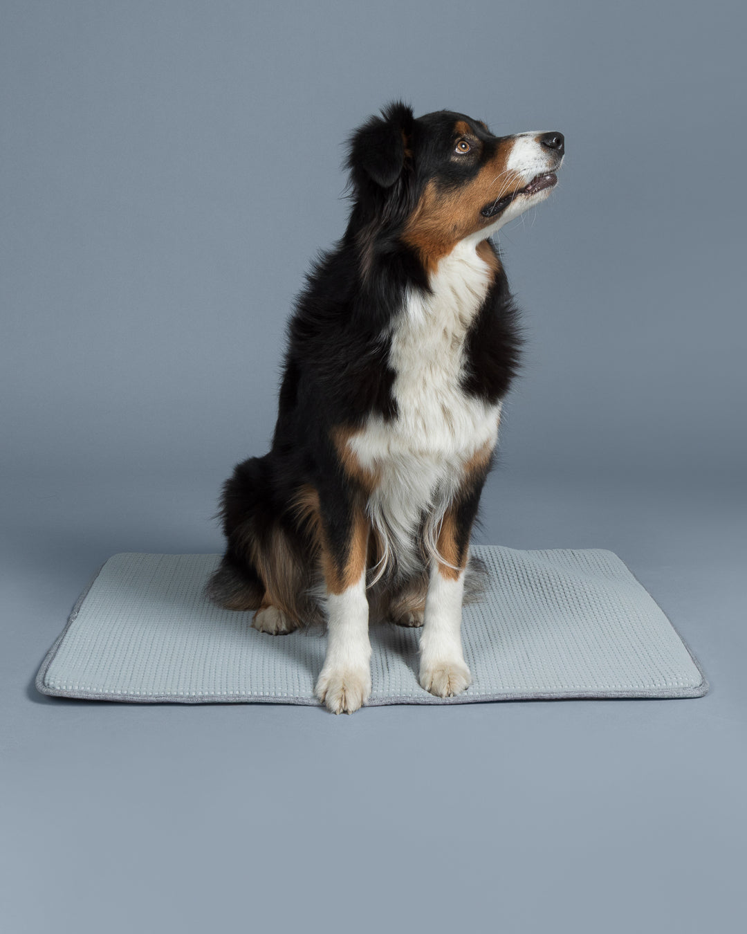 PAIKKA Cooling Blanket Grey