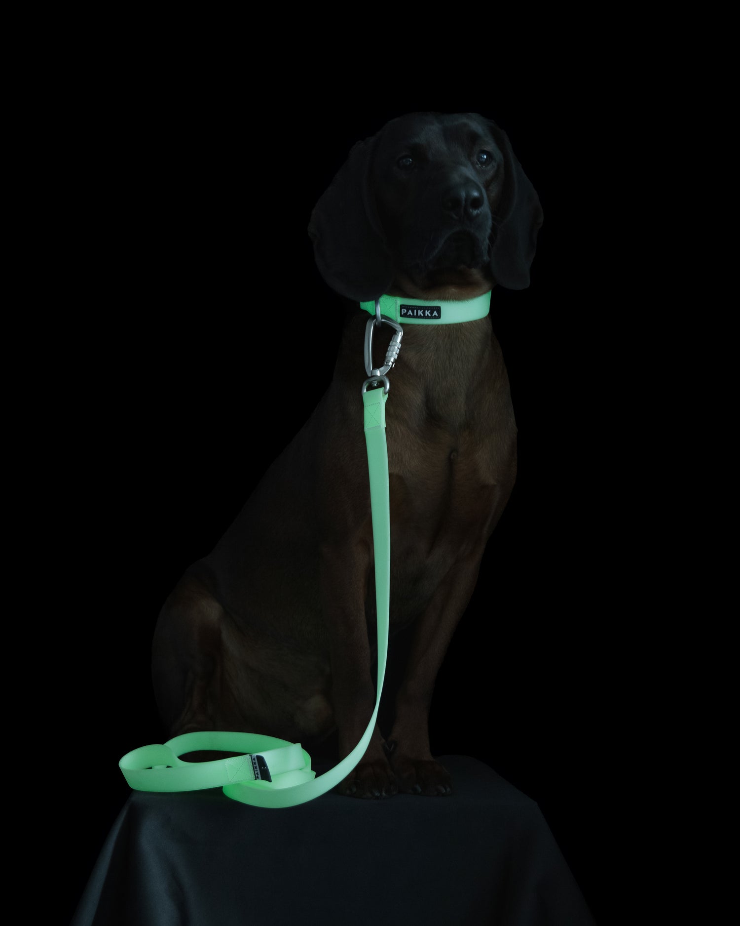 PAIKKA Glow Hundehalsband Rosa