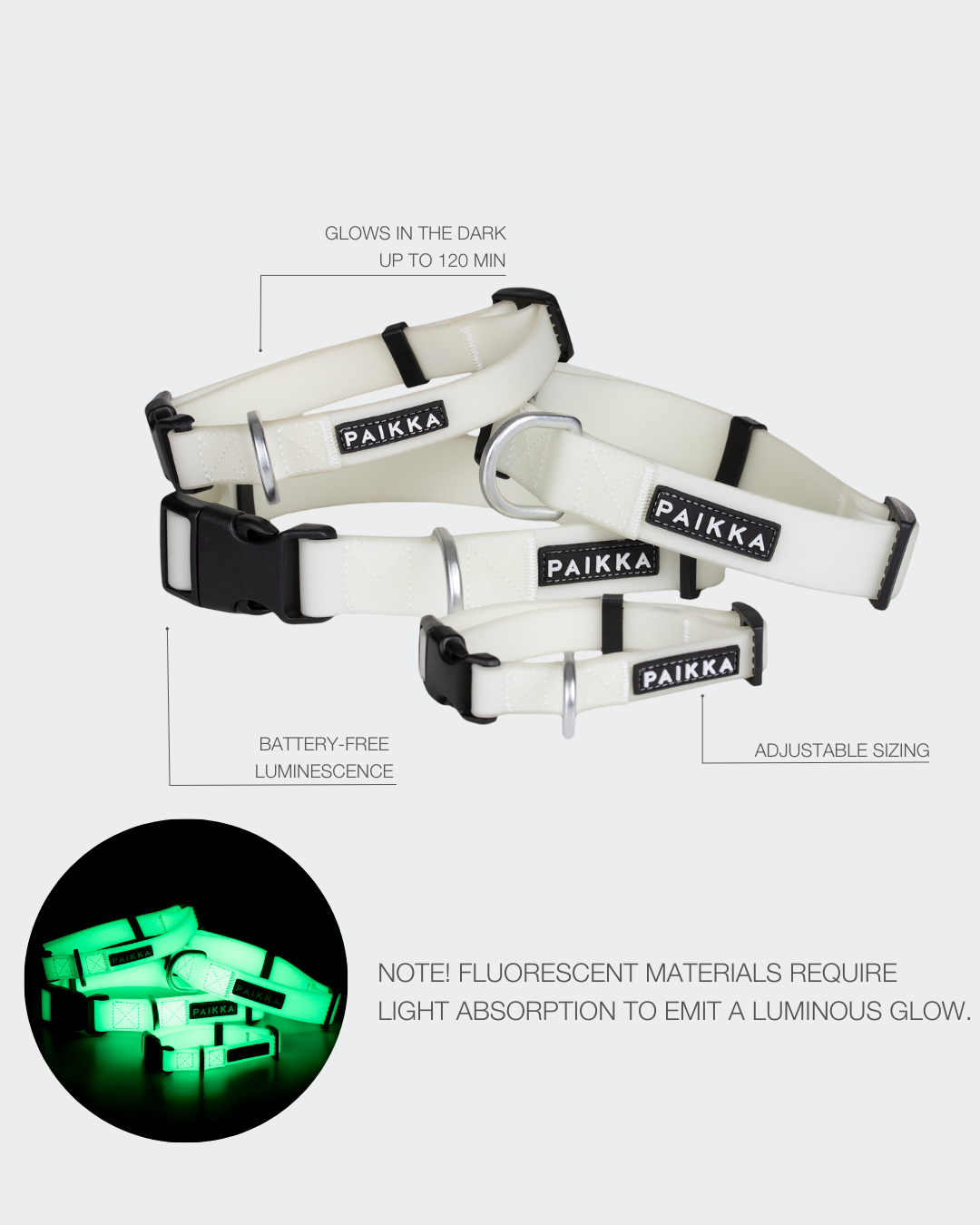 PAIKKA Glow Hundehalsband