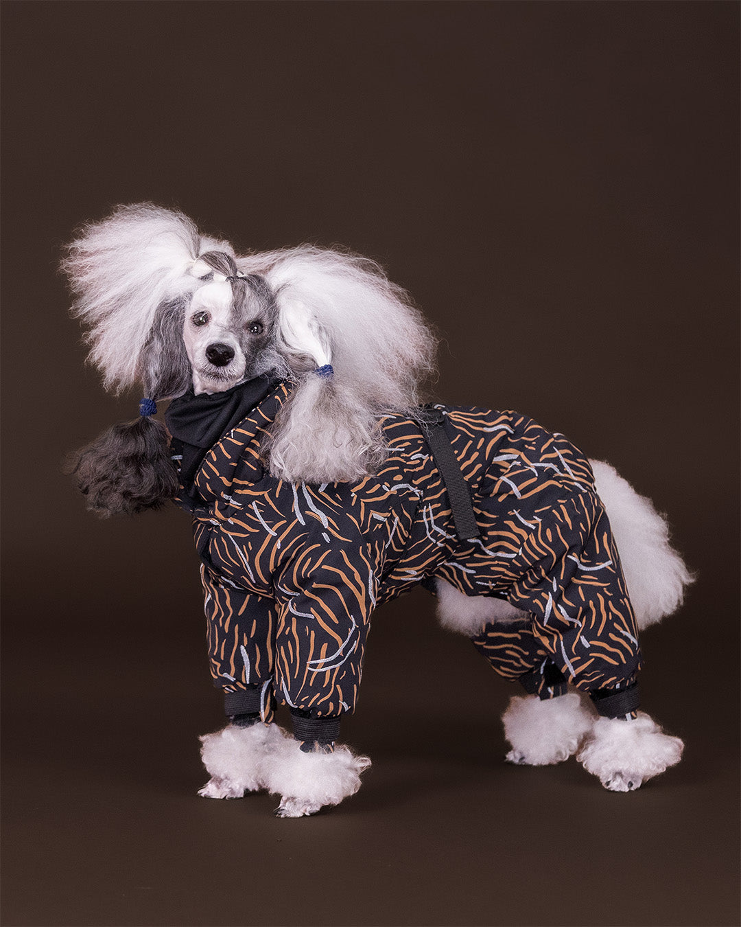 Winter Suit for Dogs Coal