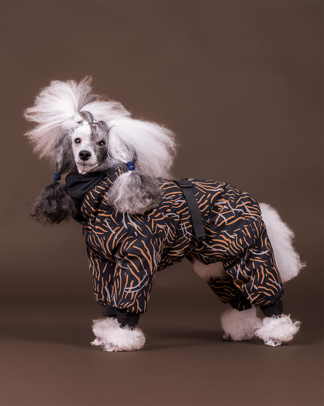Winter Suit for Dogs Coal