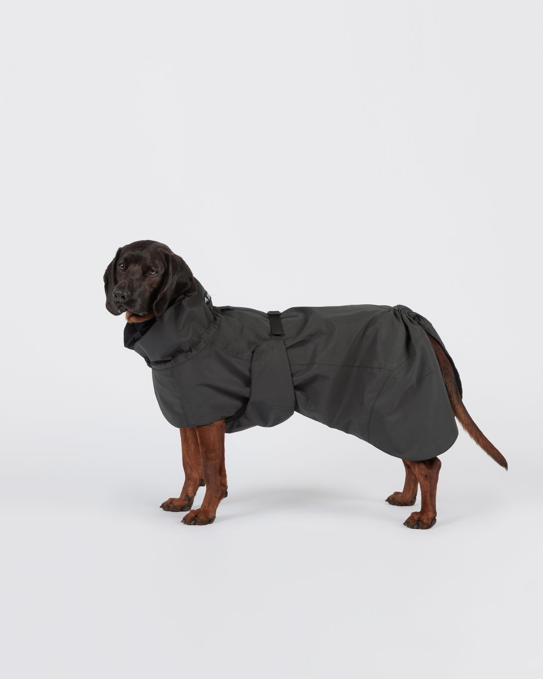 PAIKKA Visibility Hunderegenmantel Seawool Dark NEU