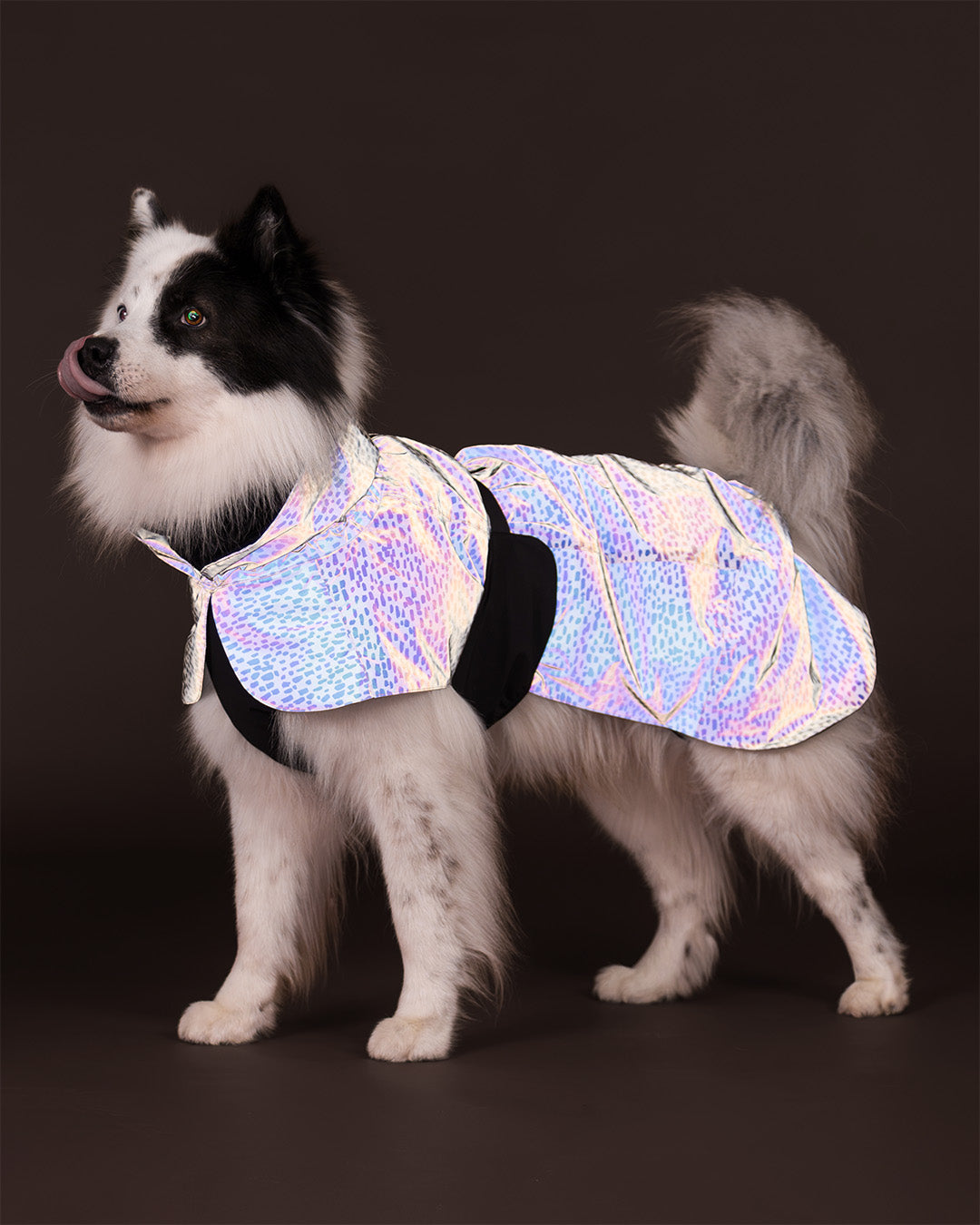 Raincoat 2.0