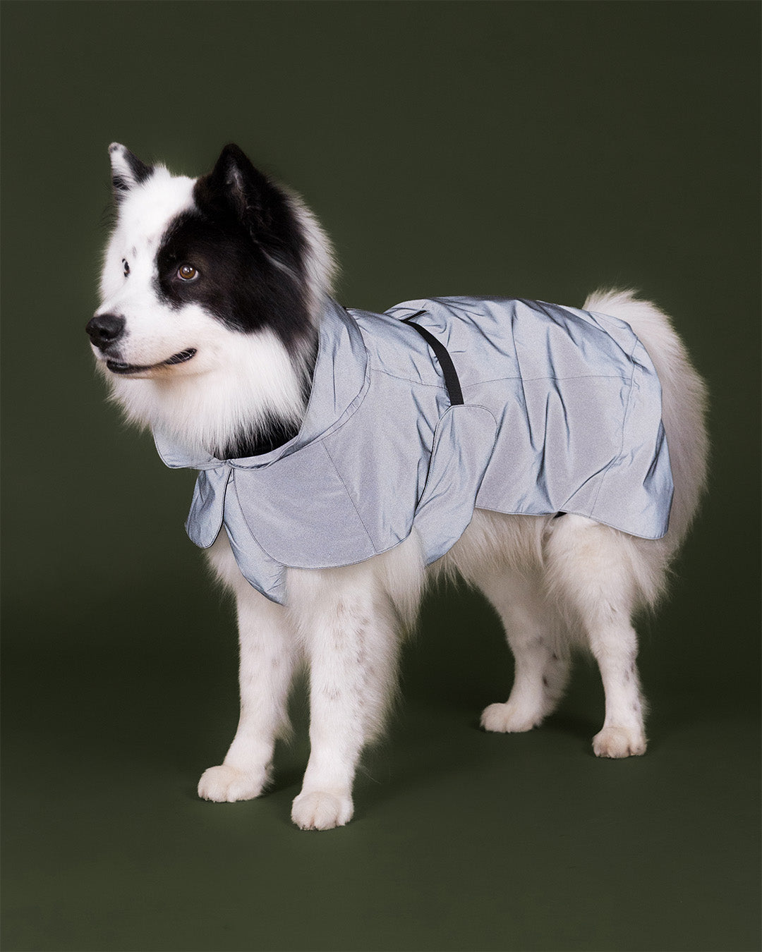 Visibility Raincoat Seawool Dark