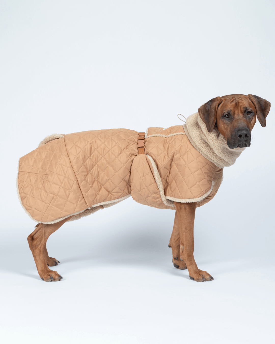 PAIKKA Quilted Sherpa Jacket for Dogs Camel
