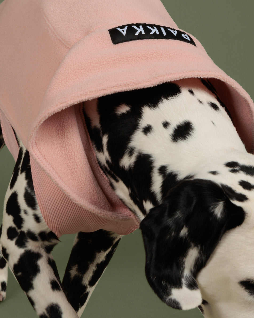 Seawool Shirt Pale Pink NEW