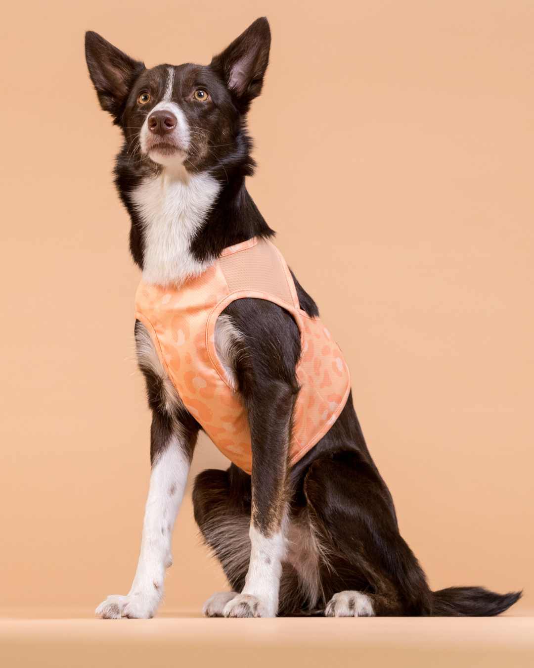 PAIKKA Cool Vest Pêche