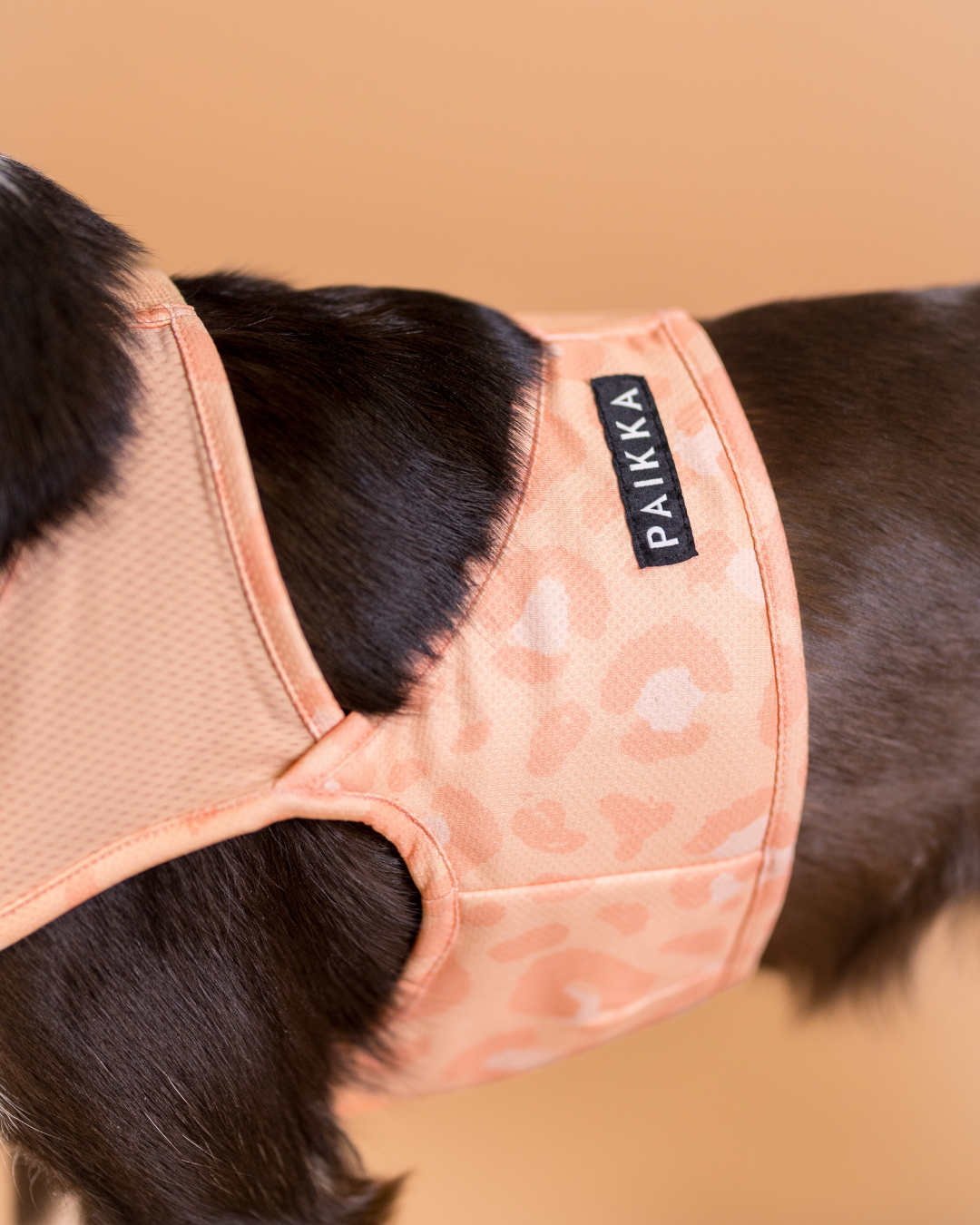 PAIKKA Cool Vest Pêche