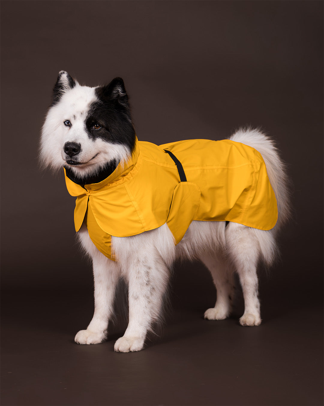 Visibility Raincoat Yellow