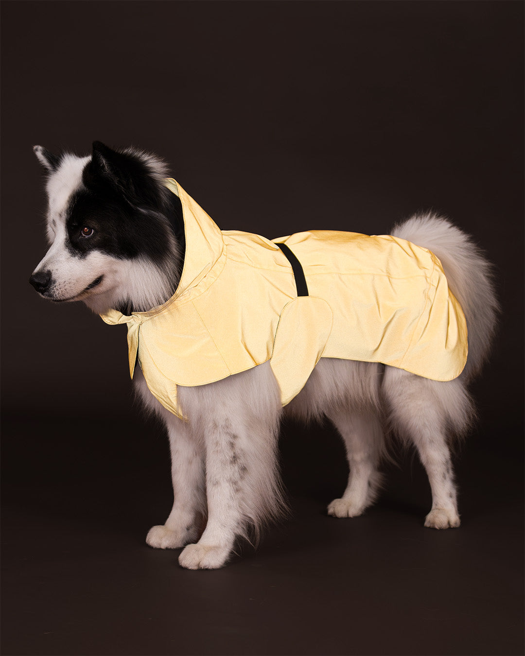 Visibility Raincoat Yellow