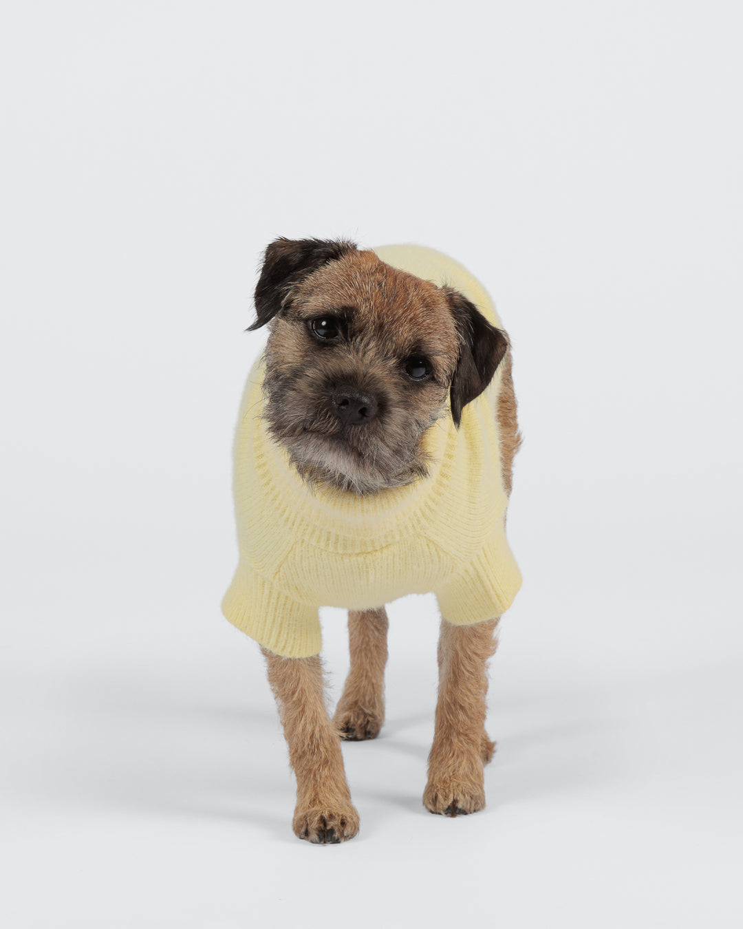 Furry Knit Sweater Pale Banana NEW