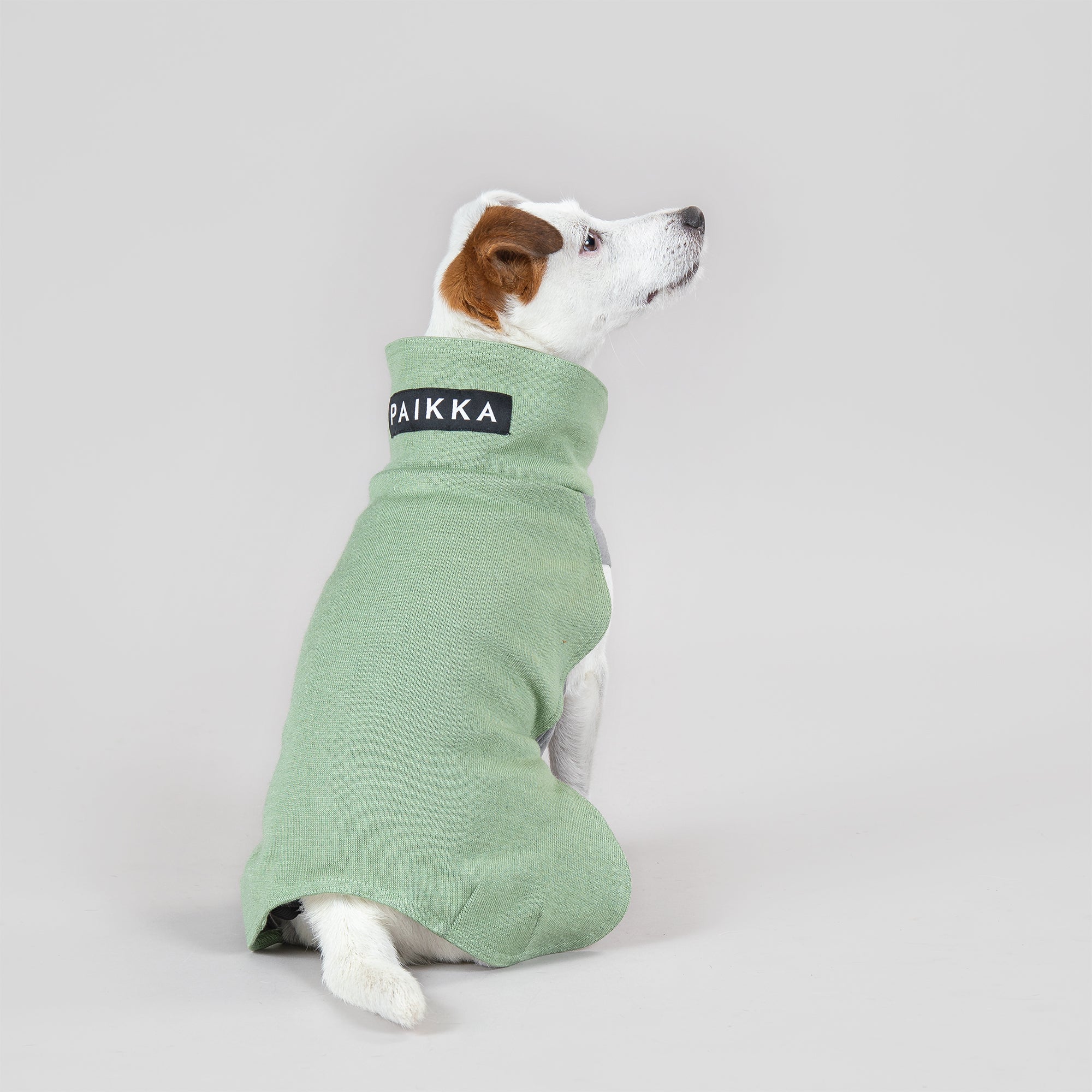 Recovery Shirt Green for Dogs – PAIKKA
