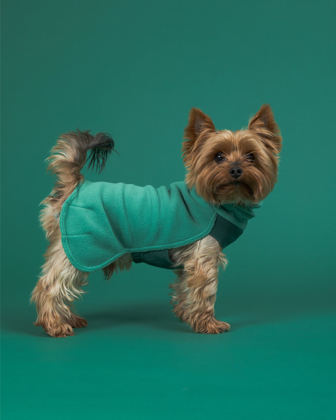 PAIKKA Seawool Shirt Green