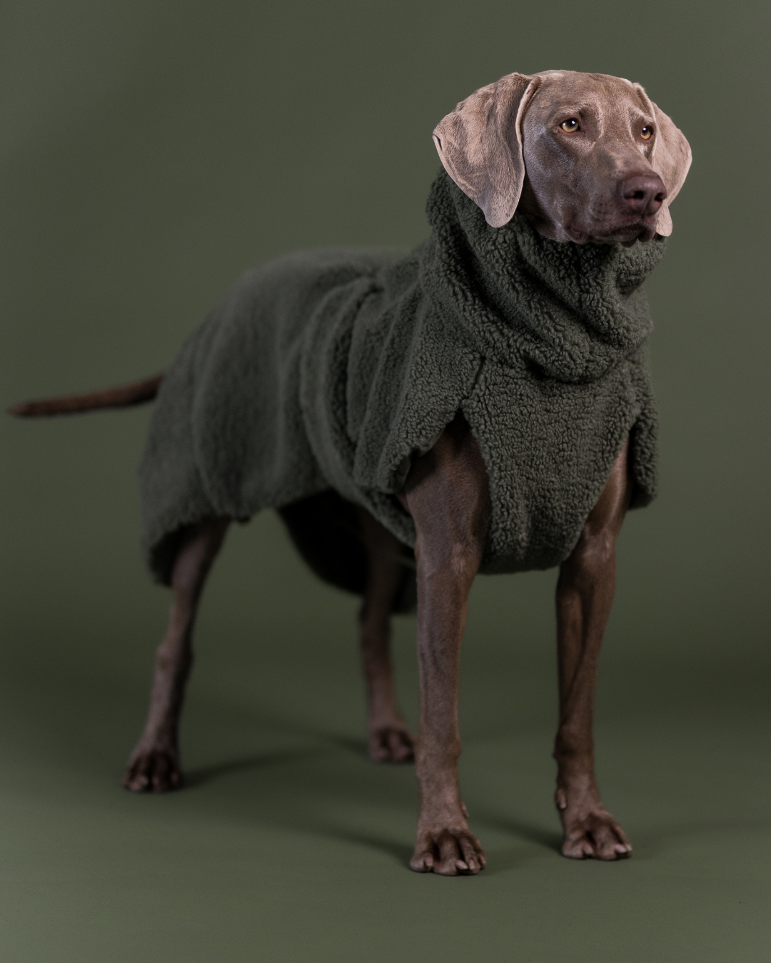 PAIKKA Sherpa Hundeshirt Olive