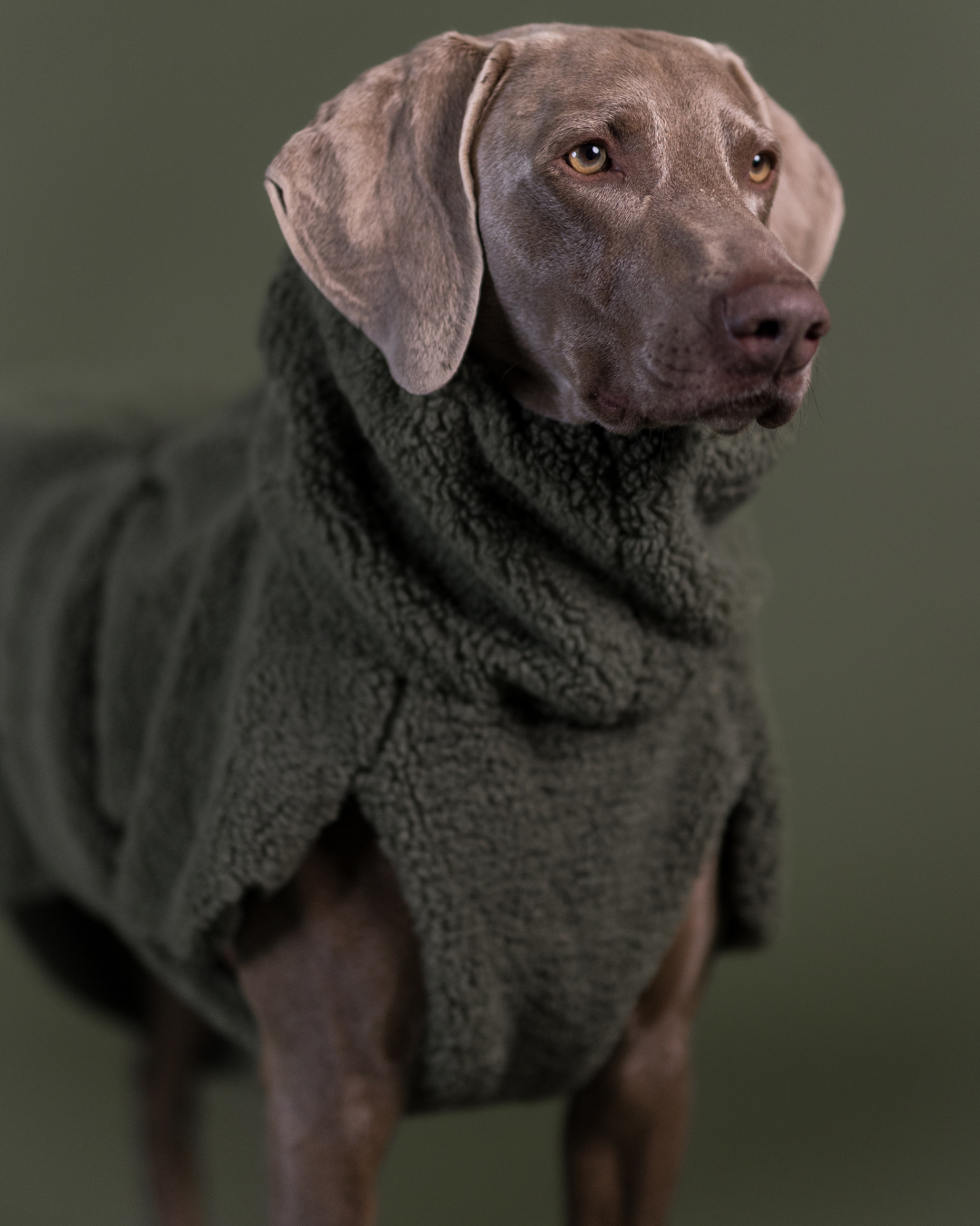 PAIKKA Sherpa Shirt for Dogs Olive