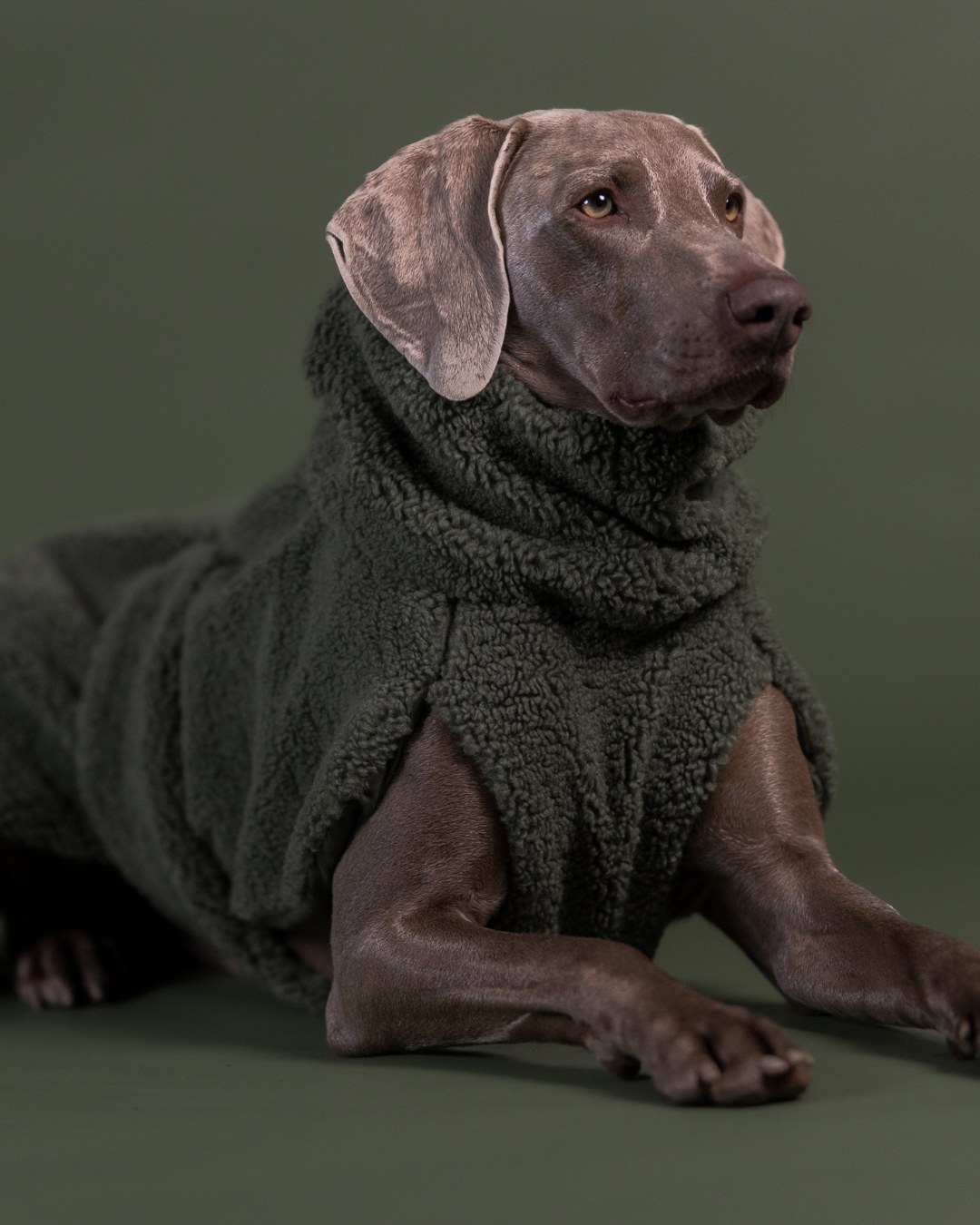 PAIKKA Sherpa Hundeshirt Olive