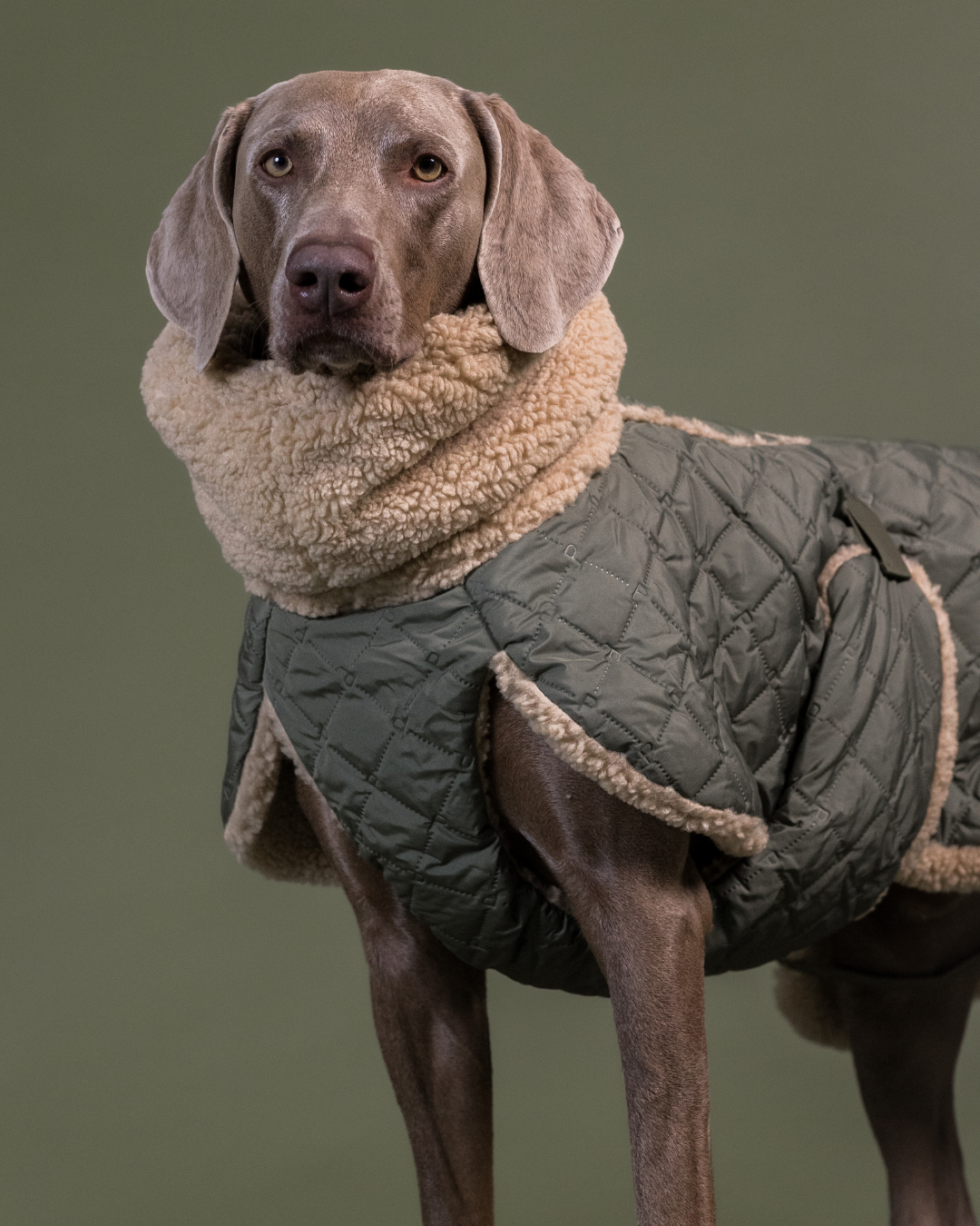 PAIKKA Sherpa Hunde Steppjacke Olivgrün
