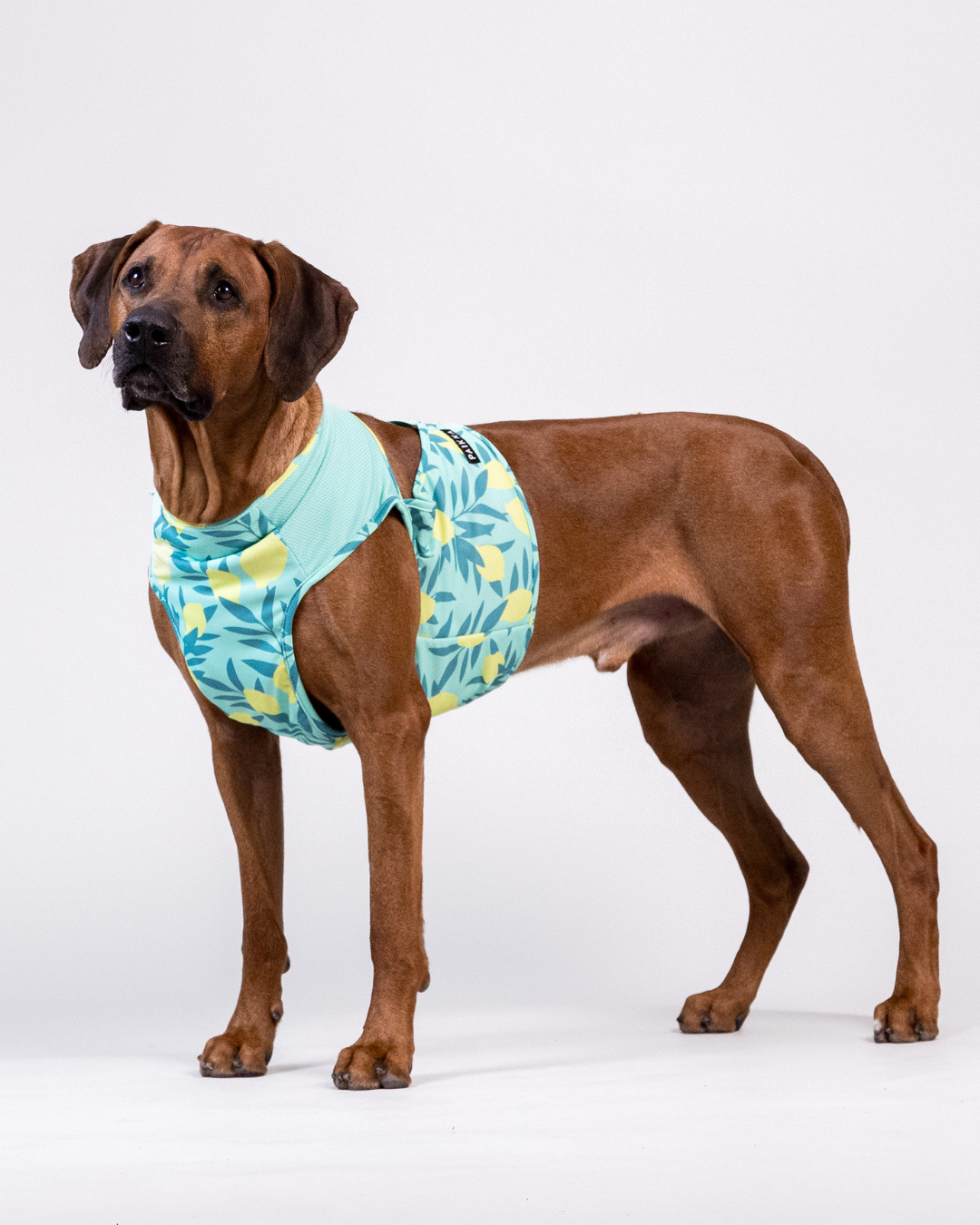 PAIKKA Cool Vest Green Lemon