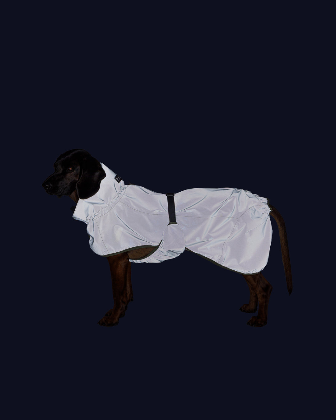 Reflektierender Hunderegenmantel Olive NEU