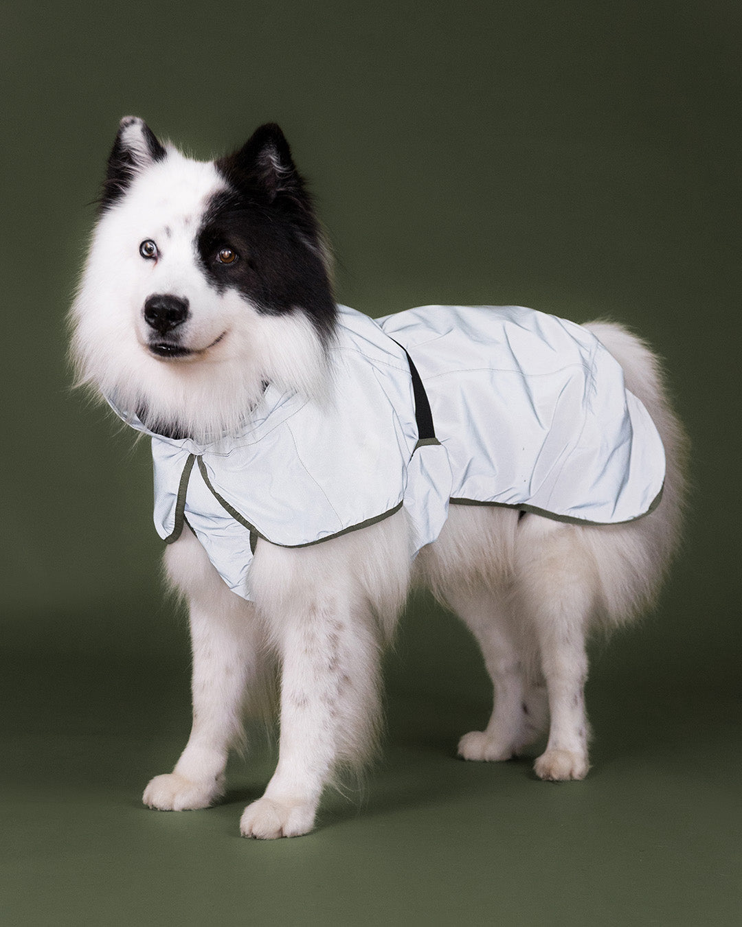 Reflective Shell Jacket Olive