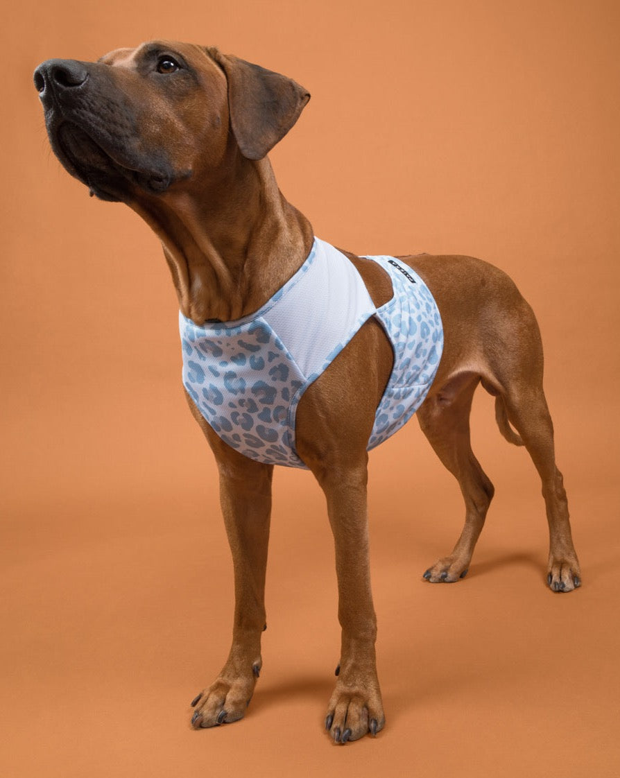 PAIKKA Cool Vest Snow Leo