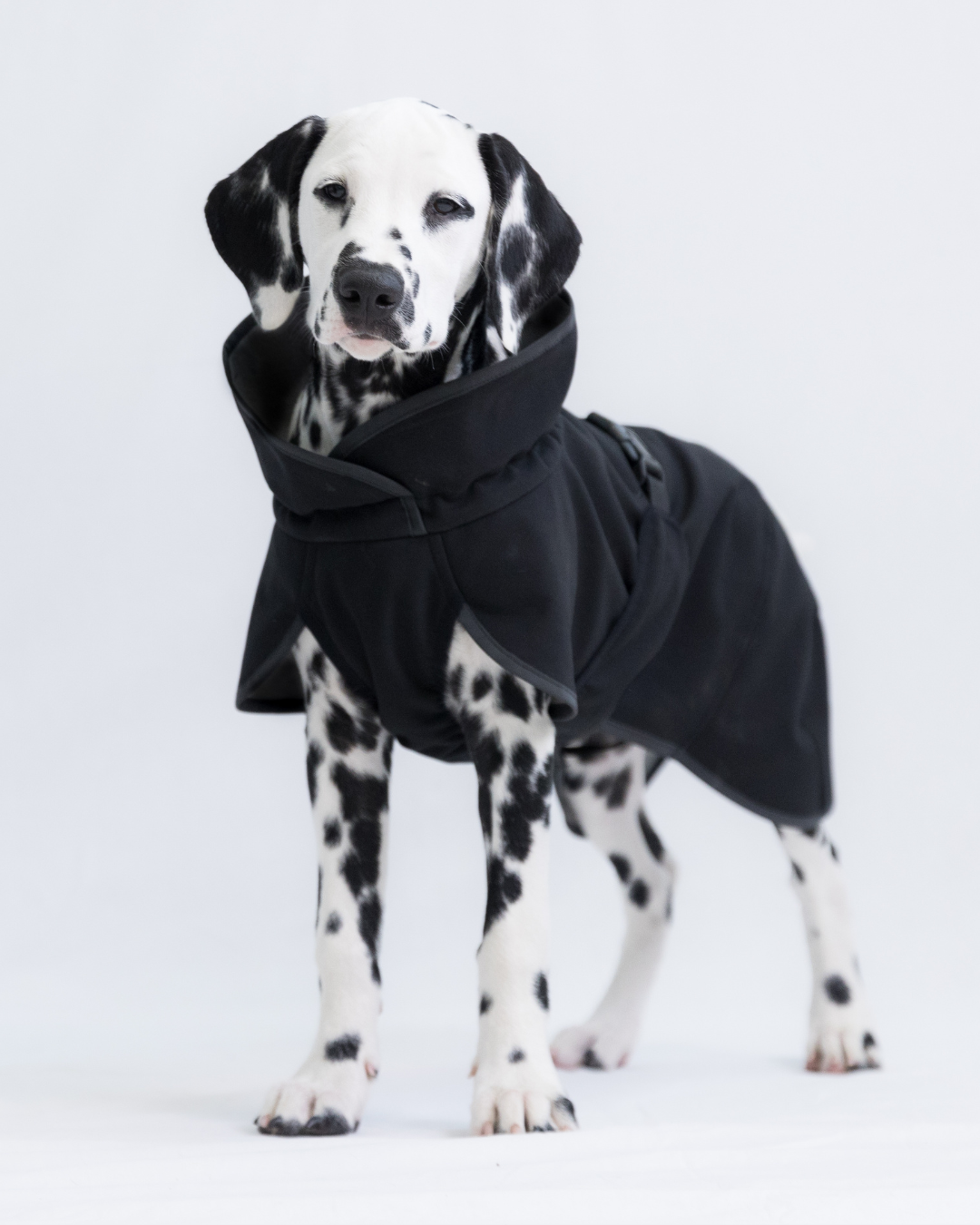 PAIKKA Recovery Softshelljacke Schwarz