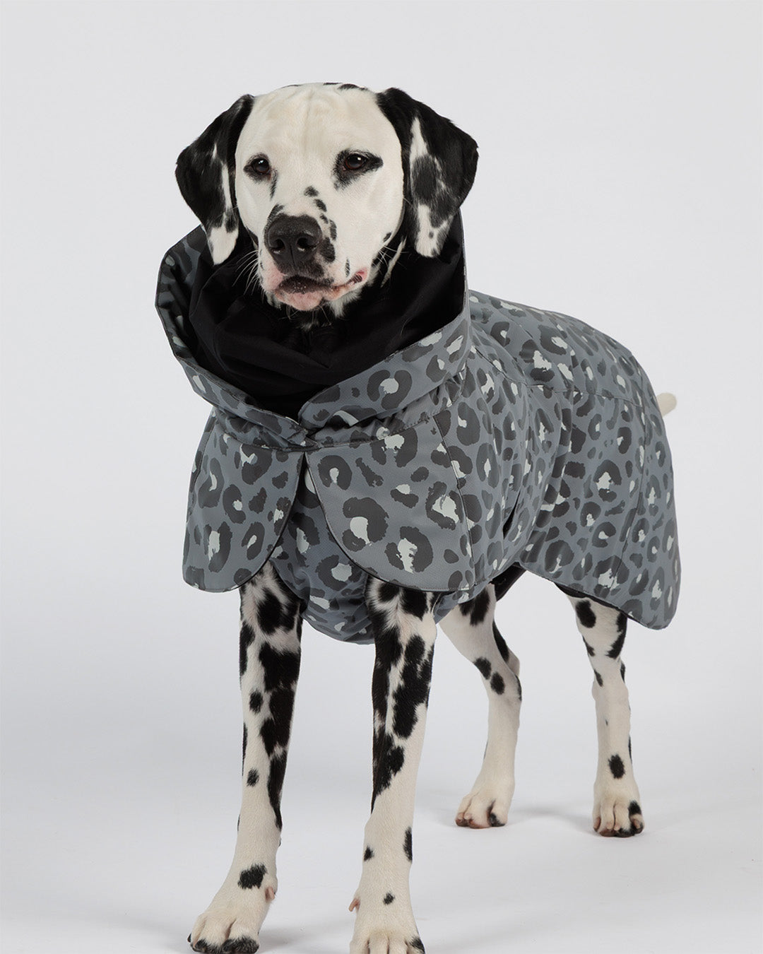 Visibility Winter Jacket Seawool Grey Leo