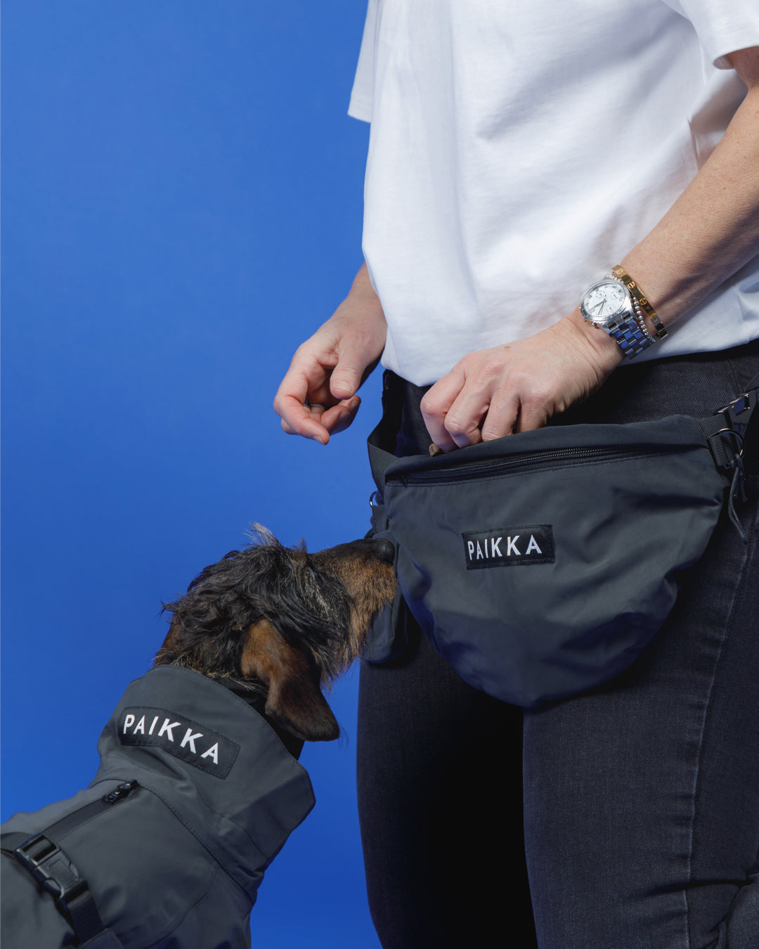 PAIKKA Visibility Leckerli-Tasche Dark