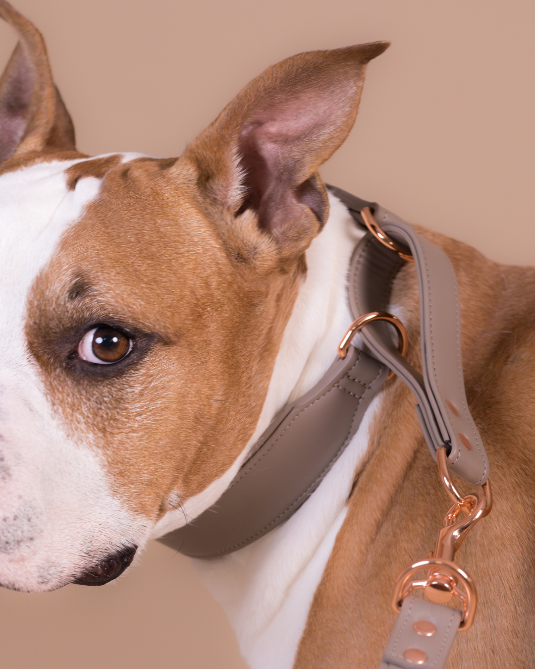 PAIKKA Lignify Martingale Collar Taupe