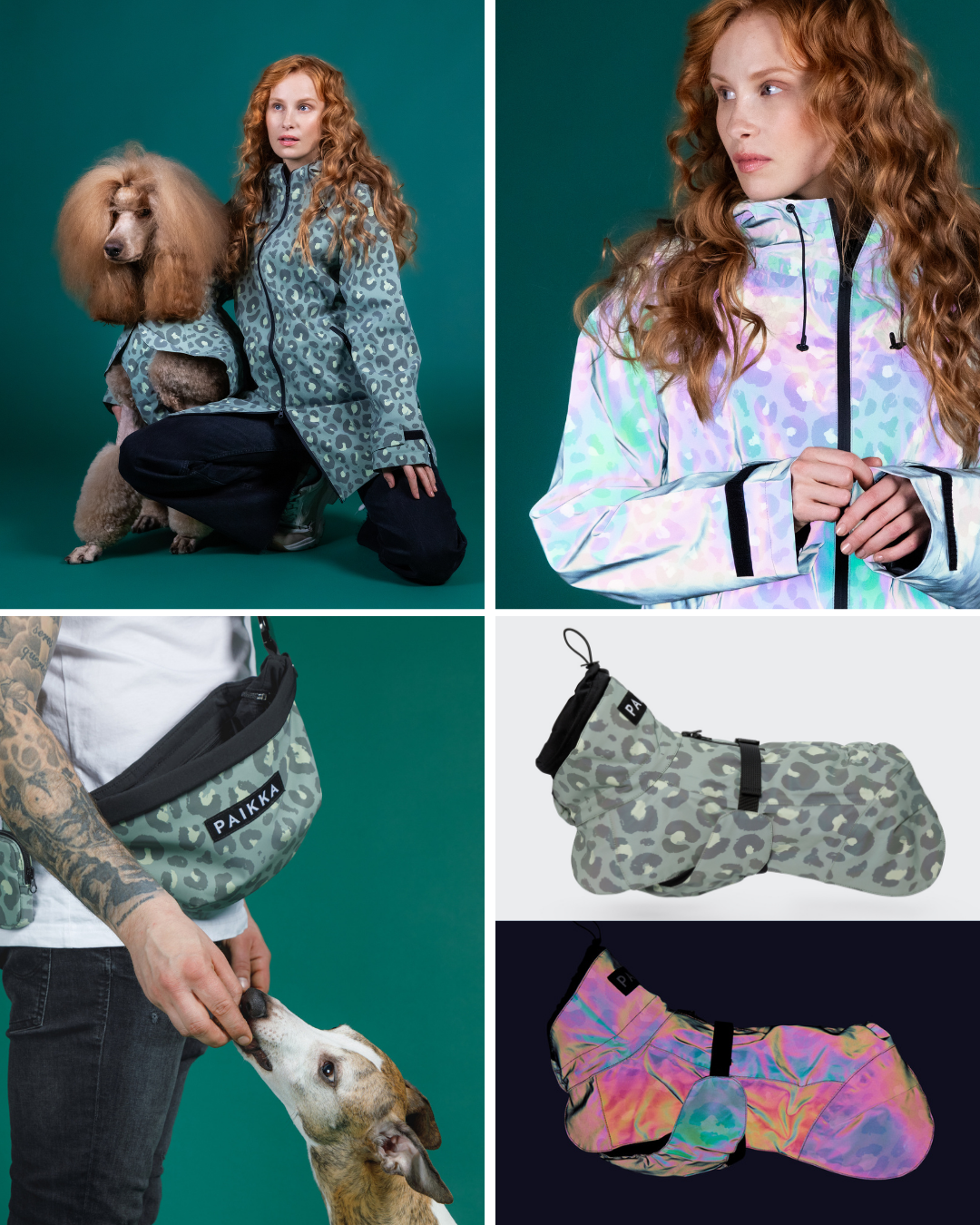 Outdoor Bundle Green Leo for Dog & Human