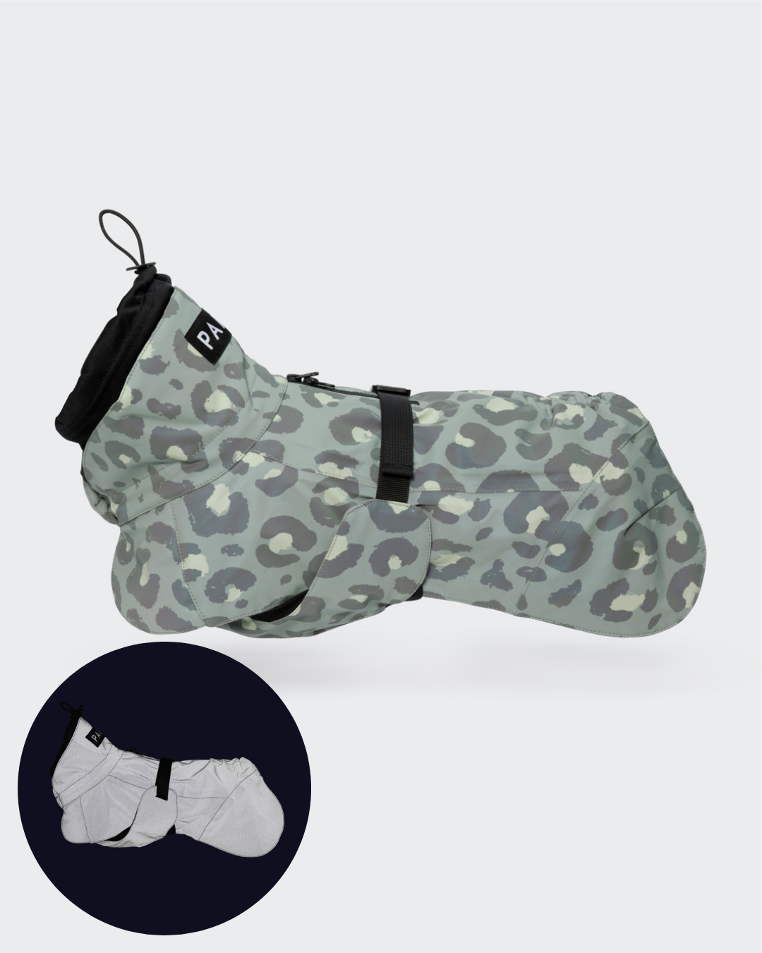 Outdoor Bundle Green Leo for Dog & Human