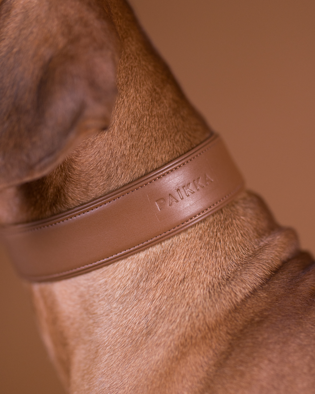 PAIKKA Lignify Martingale Hundehalsband Braun