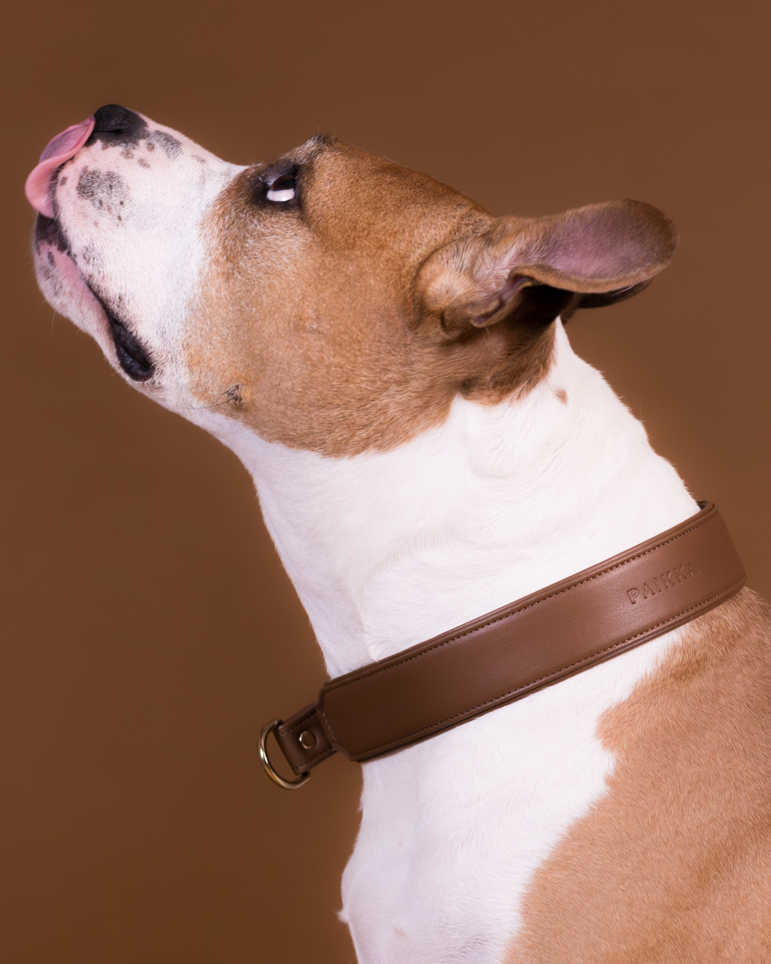 gepolsterte halsbänder Premium Hundehalsband Gepolstert – Pink/Beige – Knoten-für-vier-Pfoten
