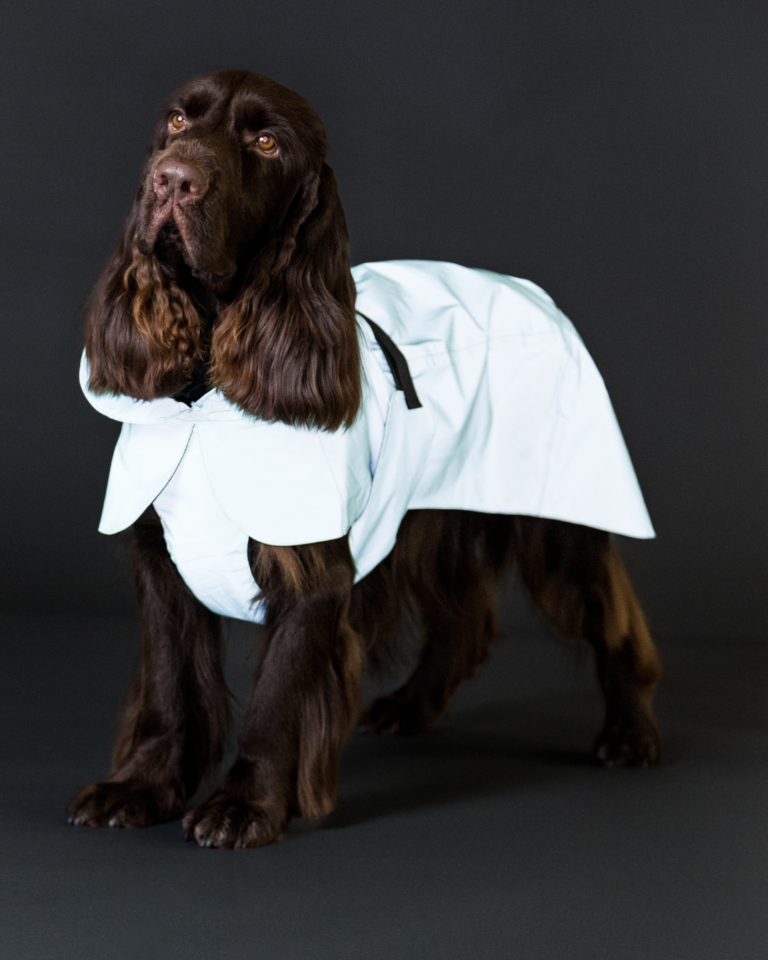 Visibility Raincoat Lite Cabbage
