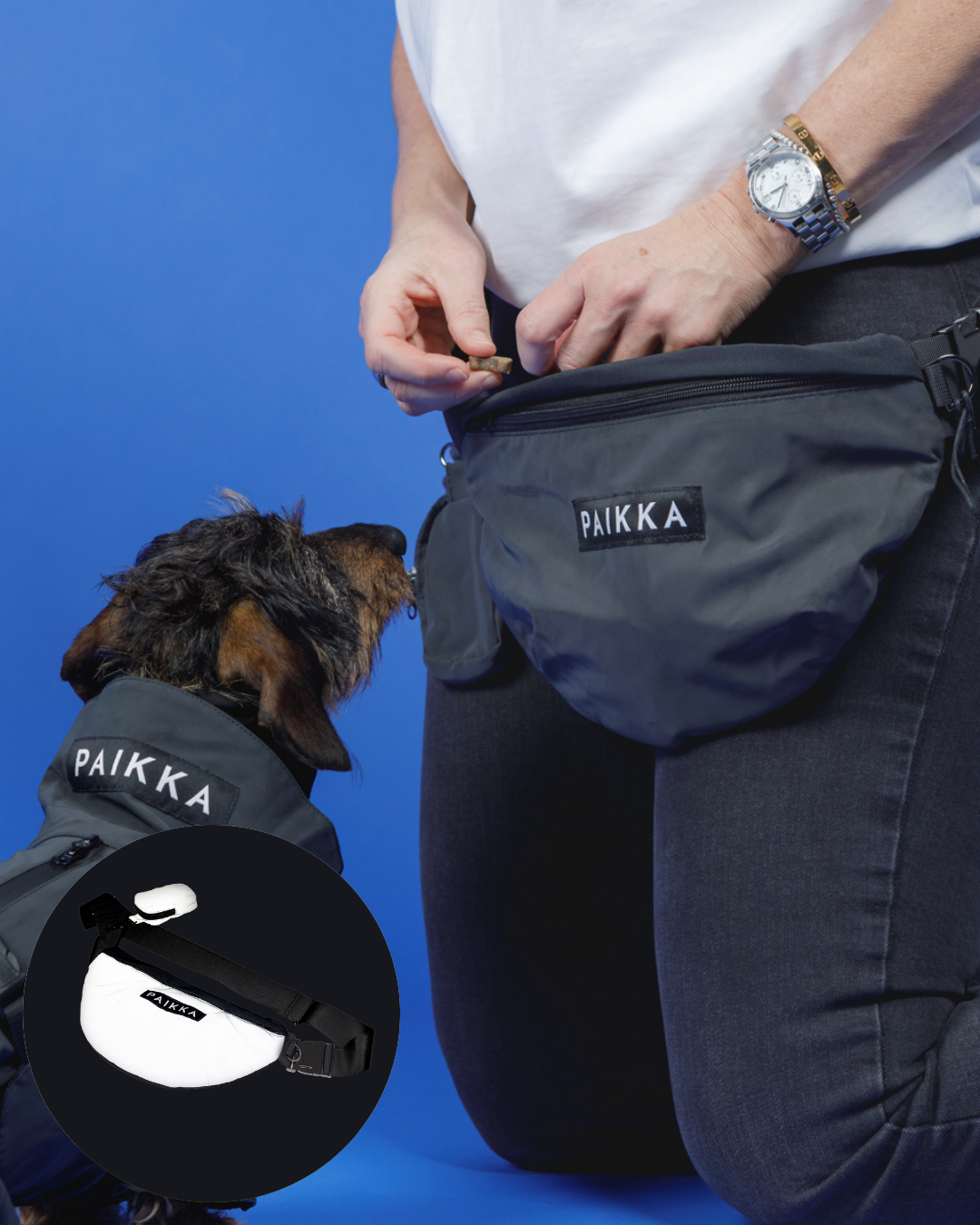 Visibility Bundle Dark for Dog & Human