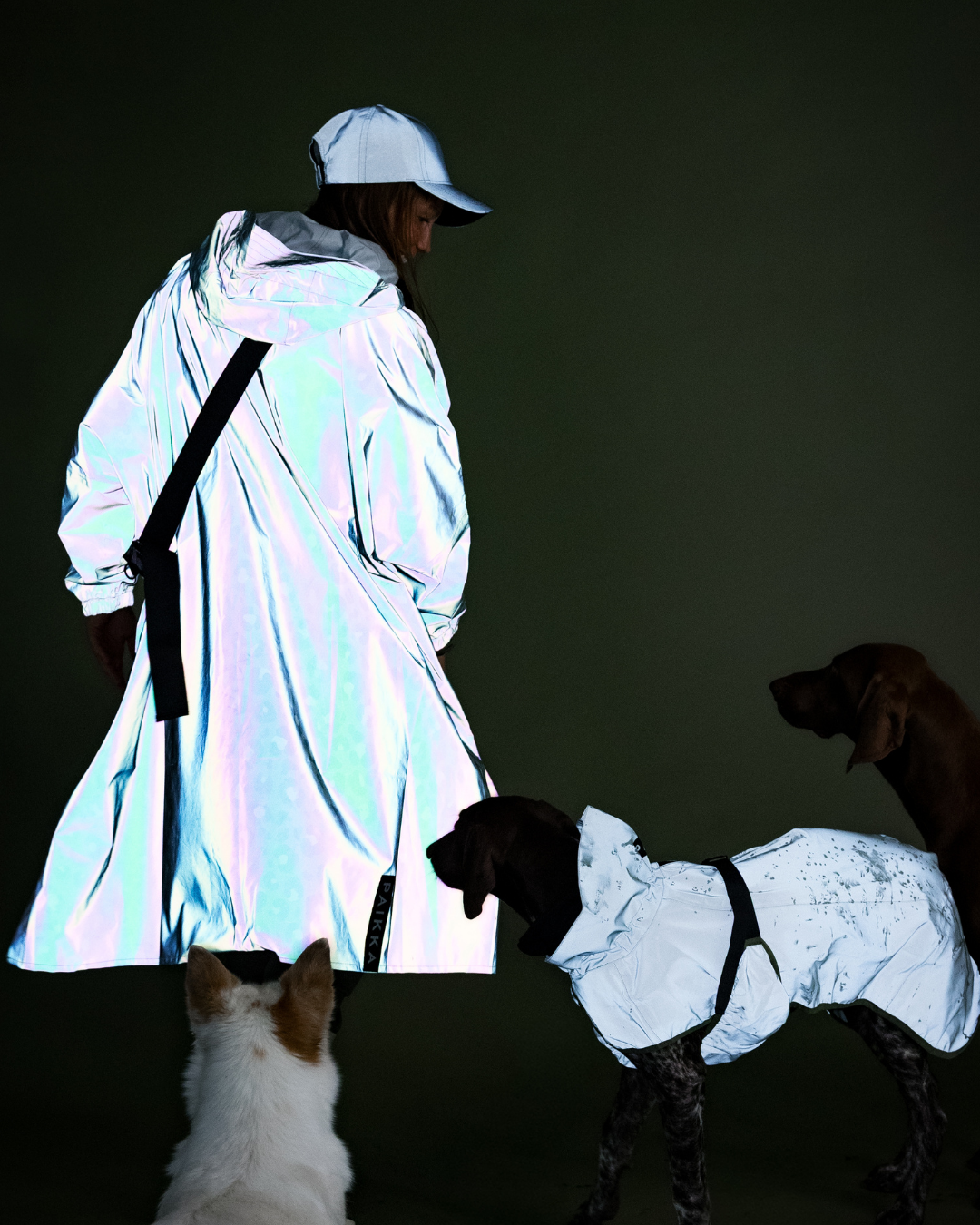 Outdoor Bundle Green Leo for Dog & Human with Poncho