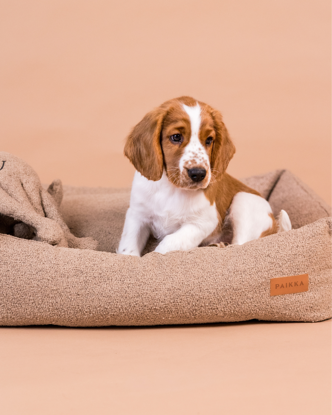 PAIKKA Bouclé Bed for Dogs