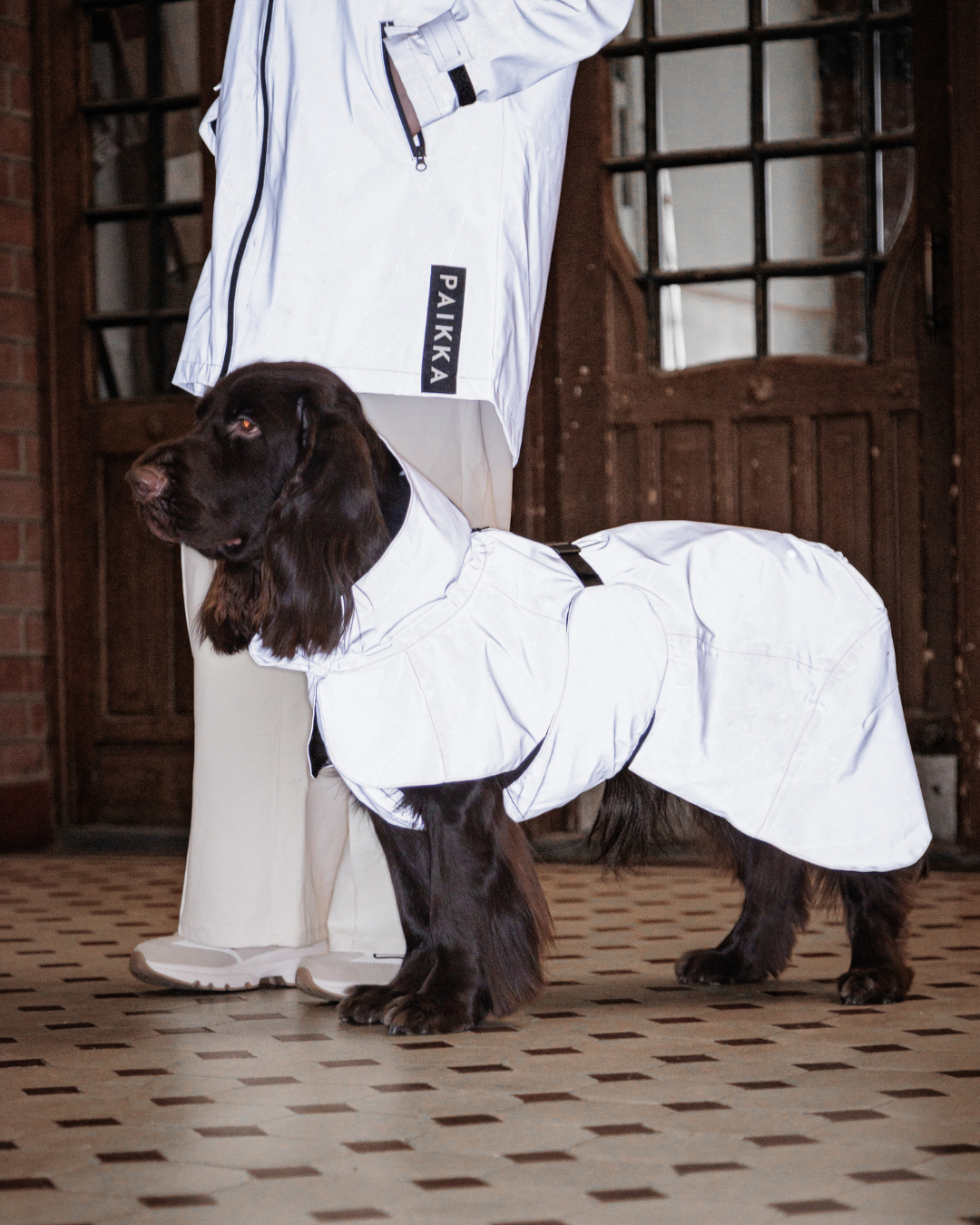 Visibility Bundle Taupe for Dog & Human