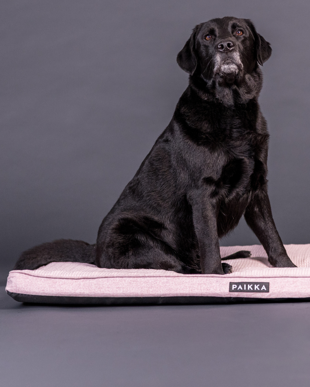 PAIKKA Kühlende orthopädische Matratze Rosa